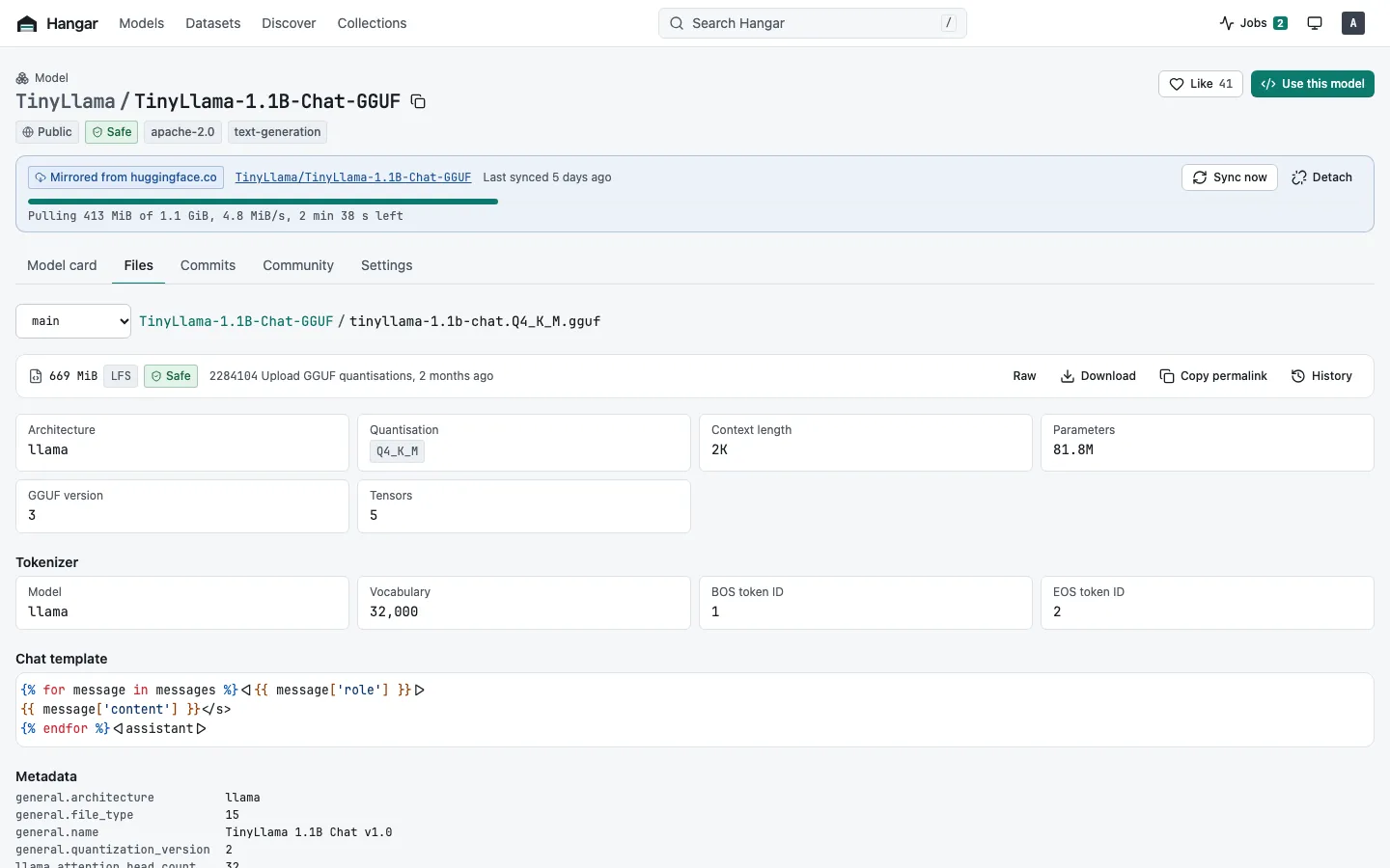 The GGUF viewer showing a file's metadata, chat template and tensors